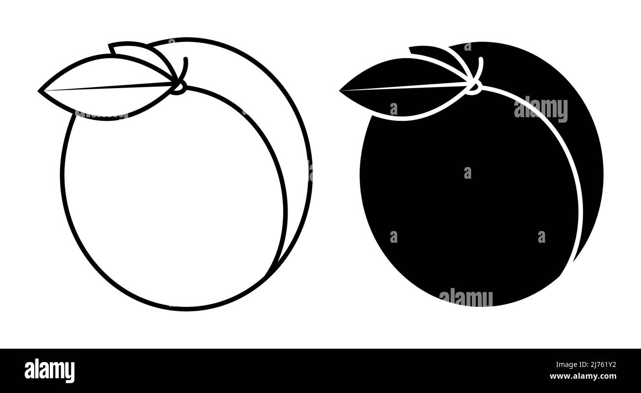 Linear Icon köstliche saftige Aprikose mit Blättern. Sommerfrüchte auf dem Tisch. Einfacher Schwarz-Weiß-Vektor auf weißem Hintergrund isoliert Stock Vektor