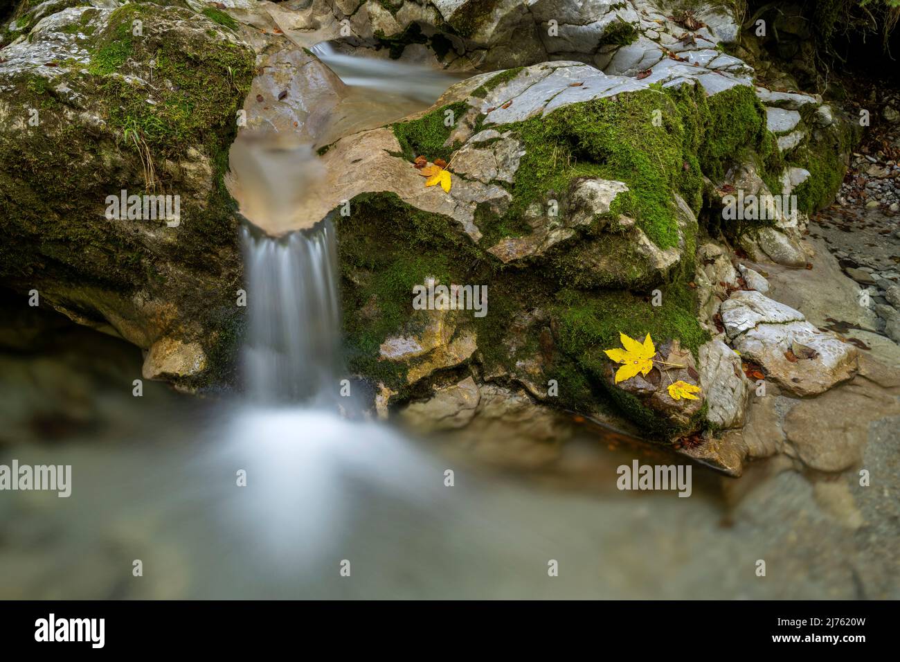 Kleiner Wasserfall am Kesselberg bei Kochel mit herbstlich gefärbten Blättern und grünem Moos Stockfoto