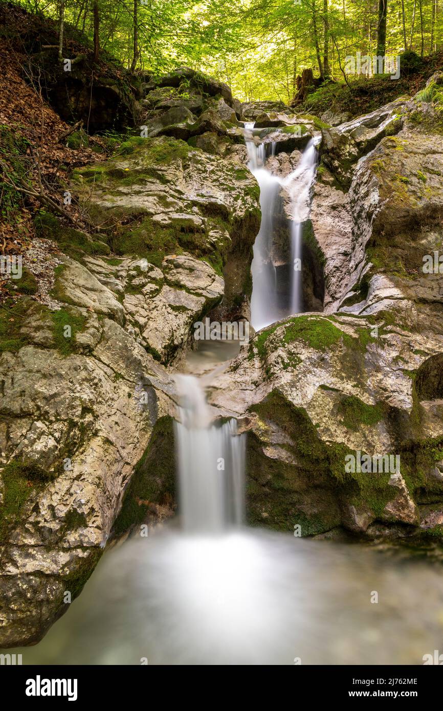 Die Kesselberg-Wasserfälle bei Kochel, moosige Felsen, klares Wasser und grünes Laub dominieren diese Aussicht auf klares Bergwasser. Stockfoto