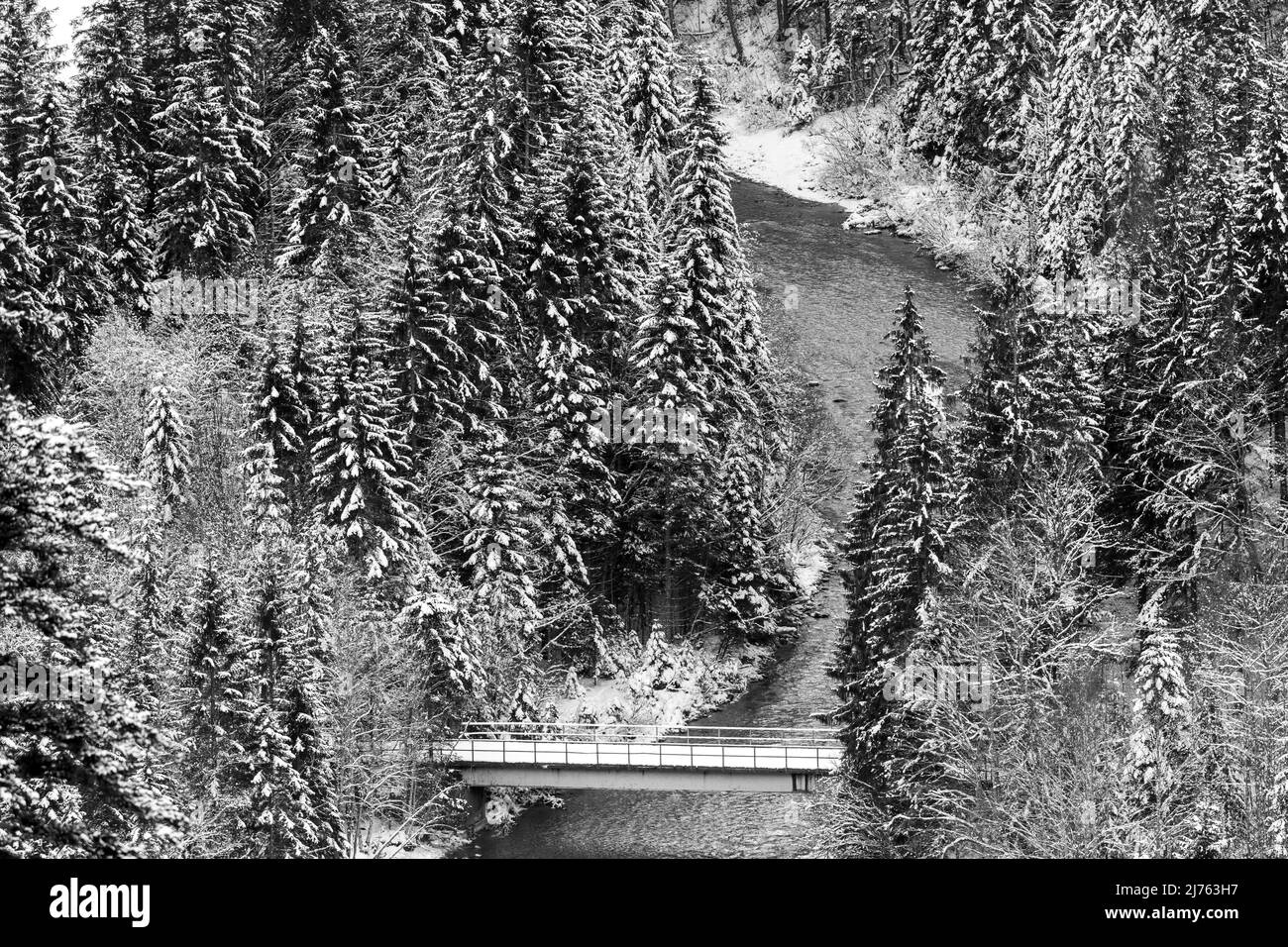 Die Brücke am Rissbach im Karwendel bei Hinterriss im Winter mit Neuschnee im verschneiten Wald von einem Hochberg aus gesehen. Stockfoto