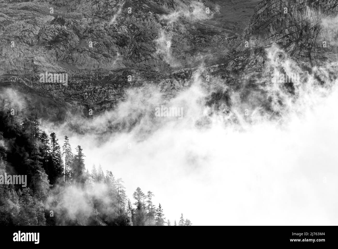 Dunkle Hintergrundstimmung am Bergwald, im Hintergrund die schroffen Felswände der Lalidererwande im Karwendel, Tirol/Österreich, bei Hinterriss im sogenannten eng. Stockfoto