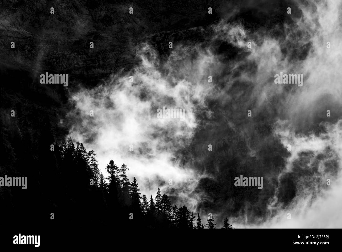 Dunkle Hintergrundstimmung am Bergwald, im Hintergrund die schroffen Felswände der Lalidererwande im Karwendel, Tirol/Österreich, bei Hinterriss im sogenannten eng. Stockfoto