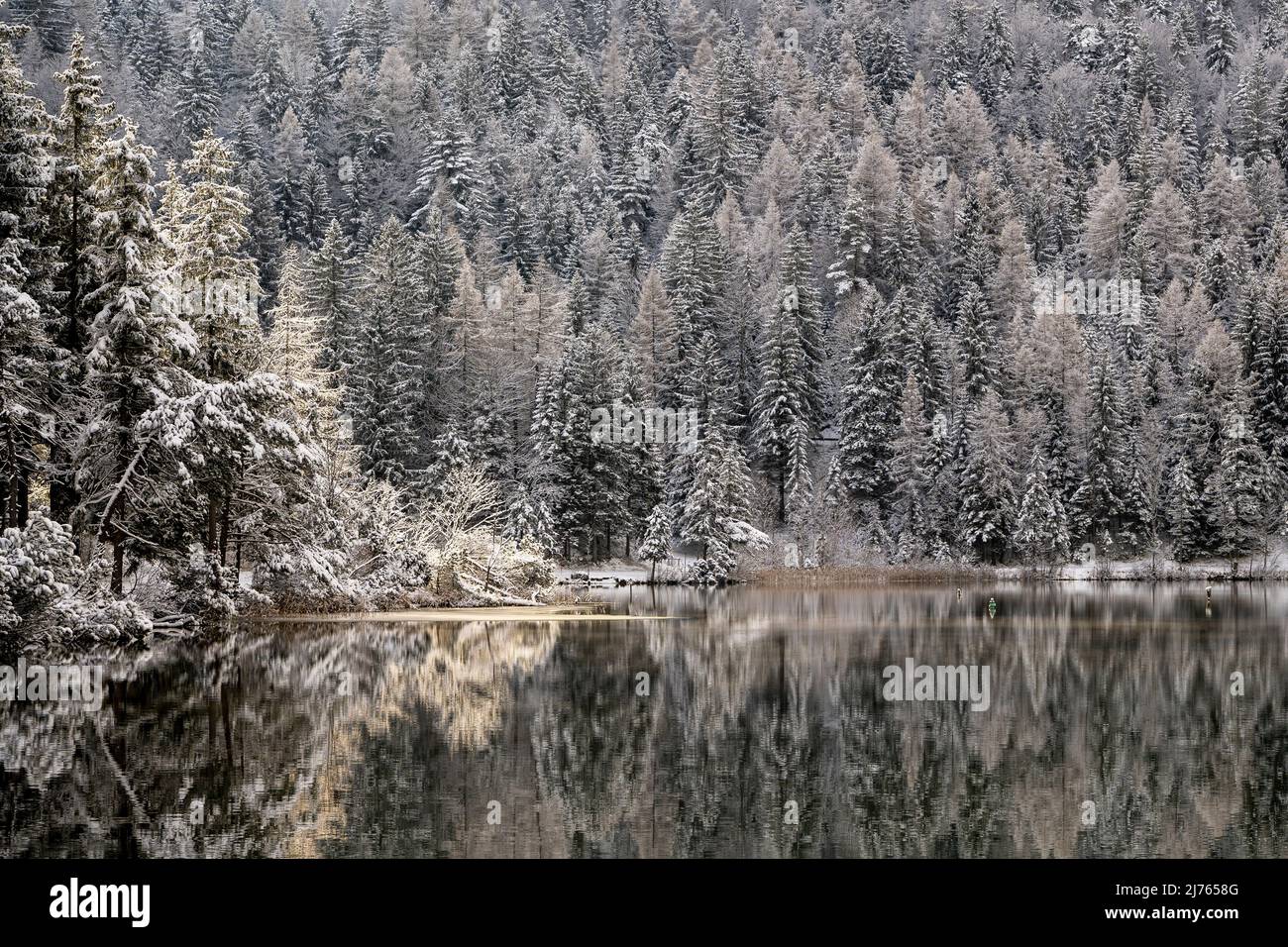 Winter am Lautersee mit Spiegelung des Wlades in ruhigem Wasser Stockfoto