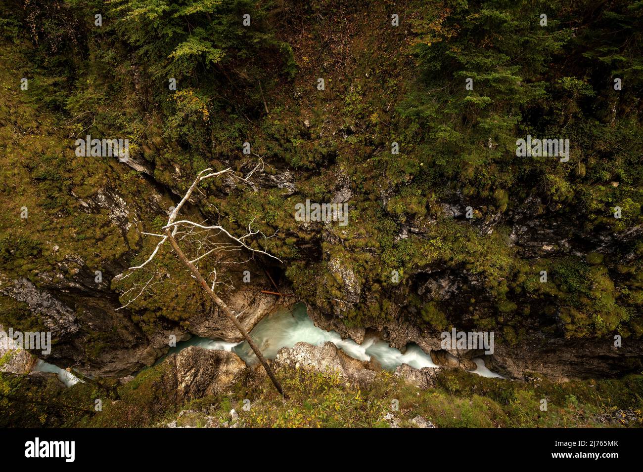 Blick von oben auf die Leutascher oder Mittenwalder Geisterklamm im Grenzgebiet zwischen Deutschland und Österreich im Herbst Stockfoto