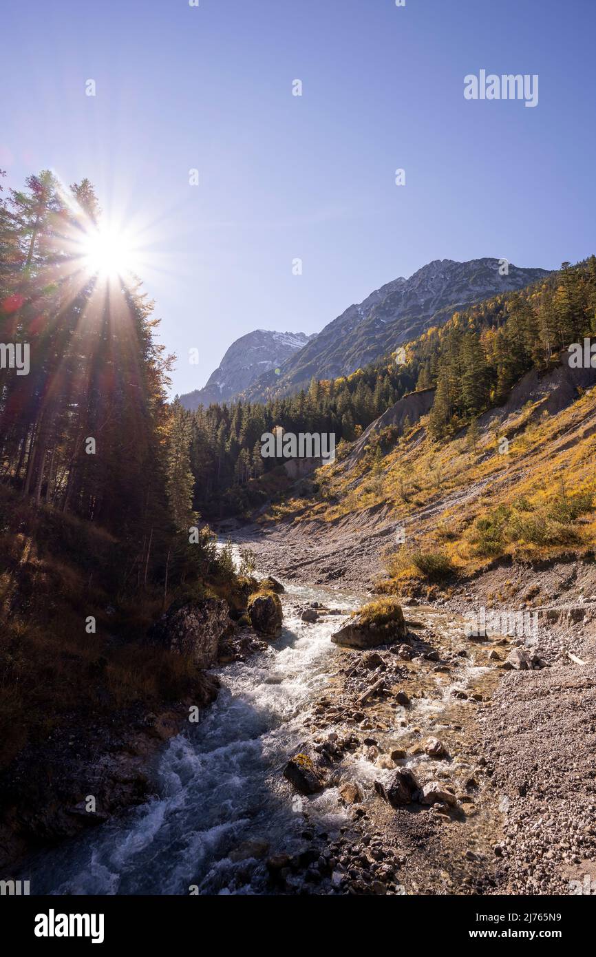 Sonne mit Sonnenstrahlen am herbstlichen Johannisbach im gleichnamigen Tal im Karwendel bei Hinterriss, Österreich / Tirol. Der Bach schlängelt sich um eine Biegung, die gut die Bodenerosion zeigt... Stockfoto