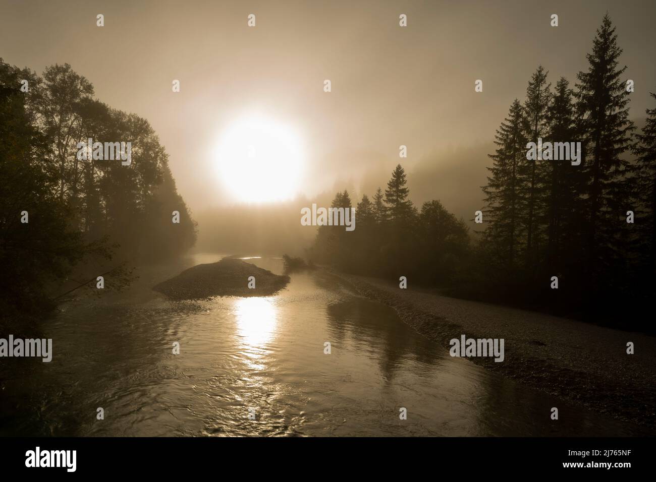 Morgennebel im Flussbett der Isar zwischen Vorderriss und Wallgau am Karwendelgebirge bei Sonnenaufgang Stockfoto