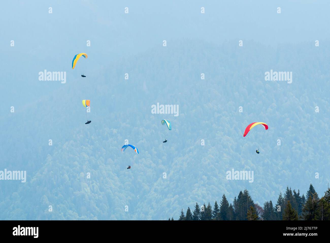 Mehrere Gleitschirme bei Brauneck im blauen Dunst vor Berghängen mit ihren bunten Drachen Stockfoto