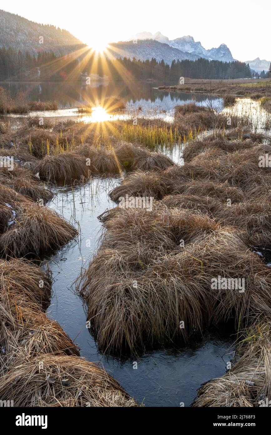 Spiegelung der Abendsonne im Geroldsee, auch Wagenbrüchsee genannt, Schilde und Grashalme auf kleinen Inseln führen den Blick, im Hintergrund die Zugspitze und andere Berge Stockfoto