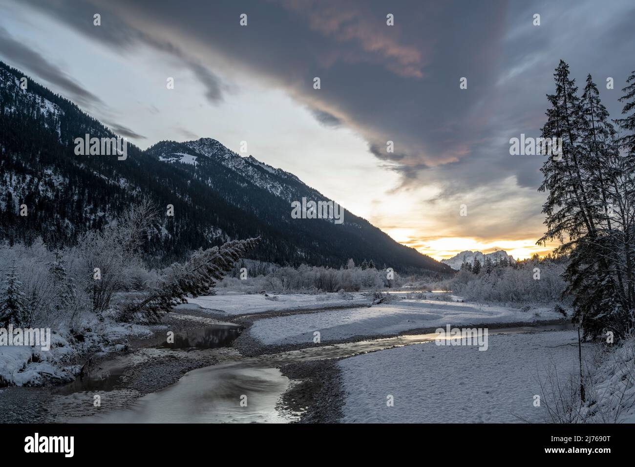 Schneelandschaft in den Isarauen, mit dem Fluss und einzelnen Fichten im Winter bei Sonnenuntergang an der Grenze zum Karwendel bei Vorderriss und Wallgau auf der Mautstraße. Der farbenfrohe Himmel nach Sonnenuntergang spiegelt sich teilweise im Wasser der Isar wider. Stockfoto