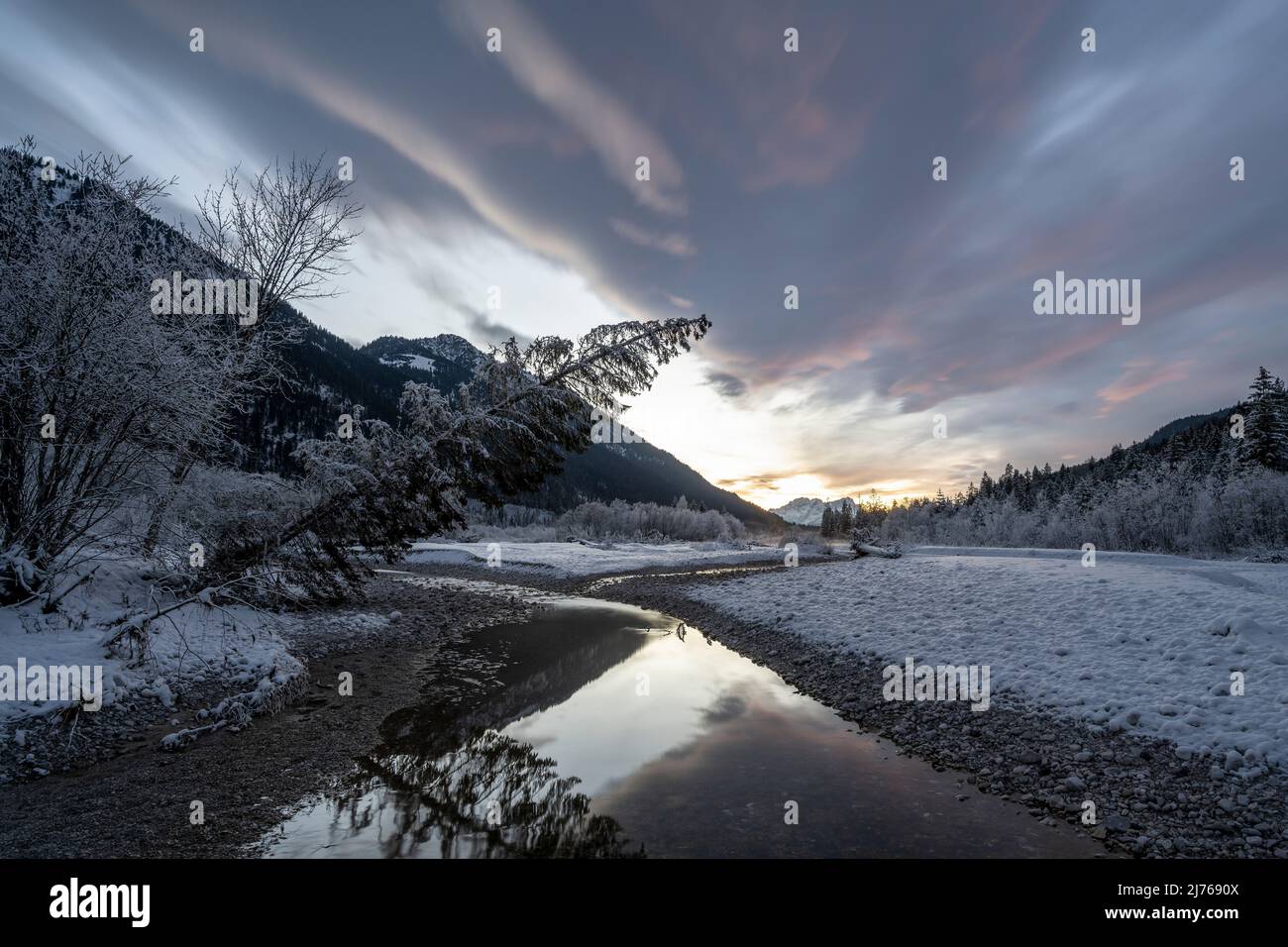 Schneelandschaft in den Isarauen, mit dem Fluss und einzelnen Fichten im Winter bei Sonnenuntergang an der Grenze zum Karwendel bei Vorderriss und Wallgau auf der Mautstraße. Der farbenfrohe Himmel nach Sonnenuntergang spiegelt sich teilweise im Wasser der Isar wider. Stockfoto