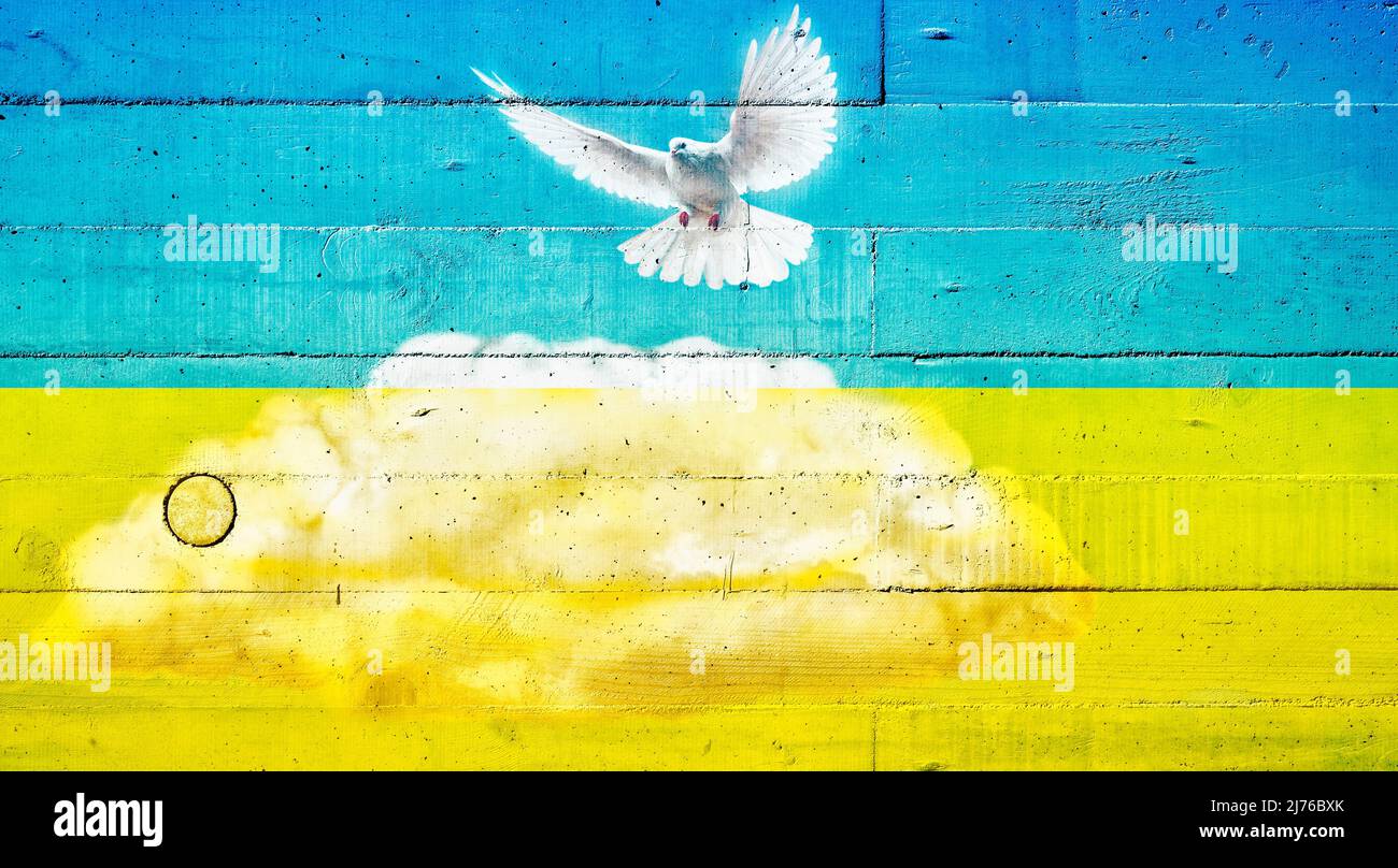 Friedenstaube auf einer Betonwand in den Farben der ukrainischen Flagge Stockfoto