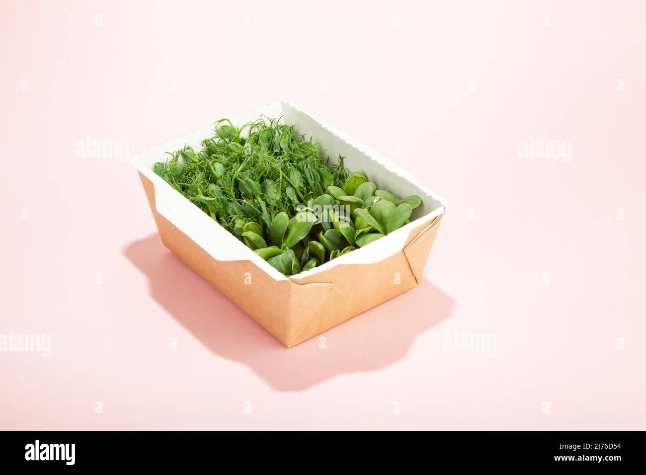 Microgreens in einer Einweg-Öko-Papierbox mit Sonnenblumenkernen. Idee für einen gesunden veganen Lieferservice. Grüne, mikrogrüne Werbung. Mikro Stockfoto