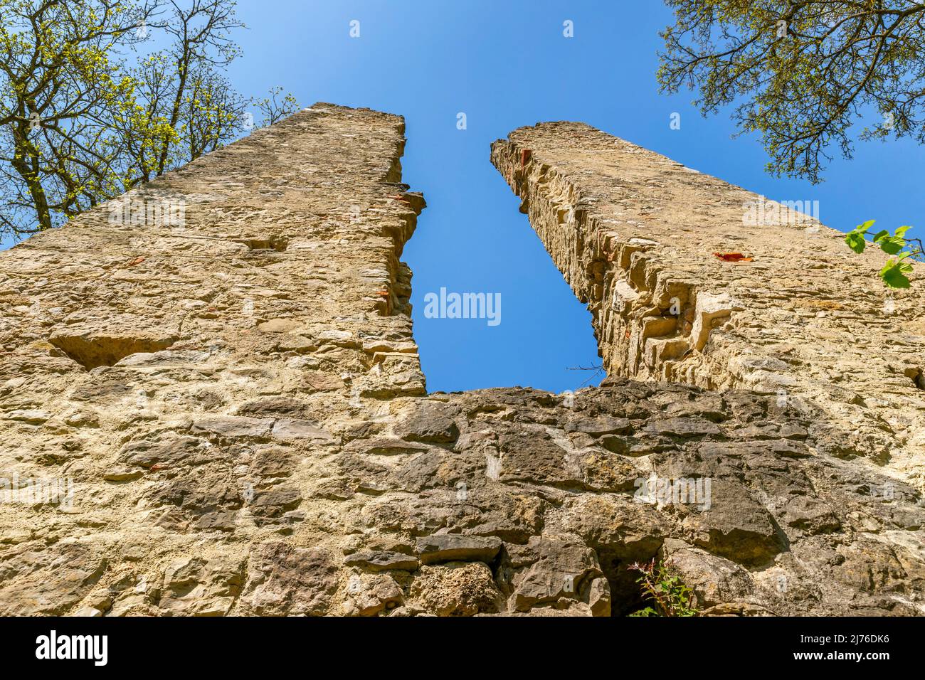 Deutschland, Rottweil, die Neckarburg ist die Ruine einer frühmittelalterlichen Hügelburg mit einer ereignisreichen Geschichte. Sie liegt im Neckartal auf einem länglichen umlaufenden Berg im Stadtgebiet Rottweil. Die Ruine ist die älteste Burganlage des Bezirks und gehört den Grafen Bissingen und Nippenburg. Stockfoto