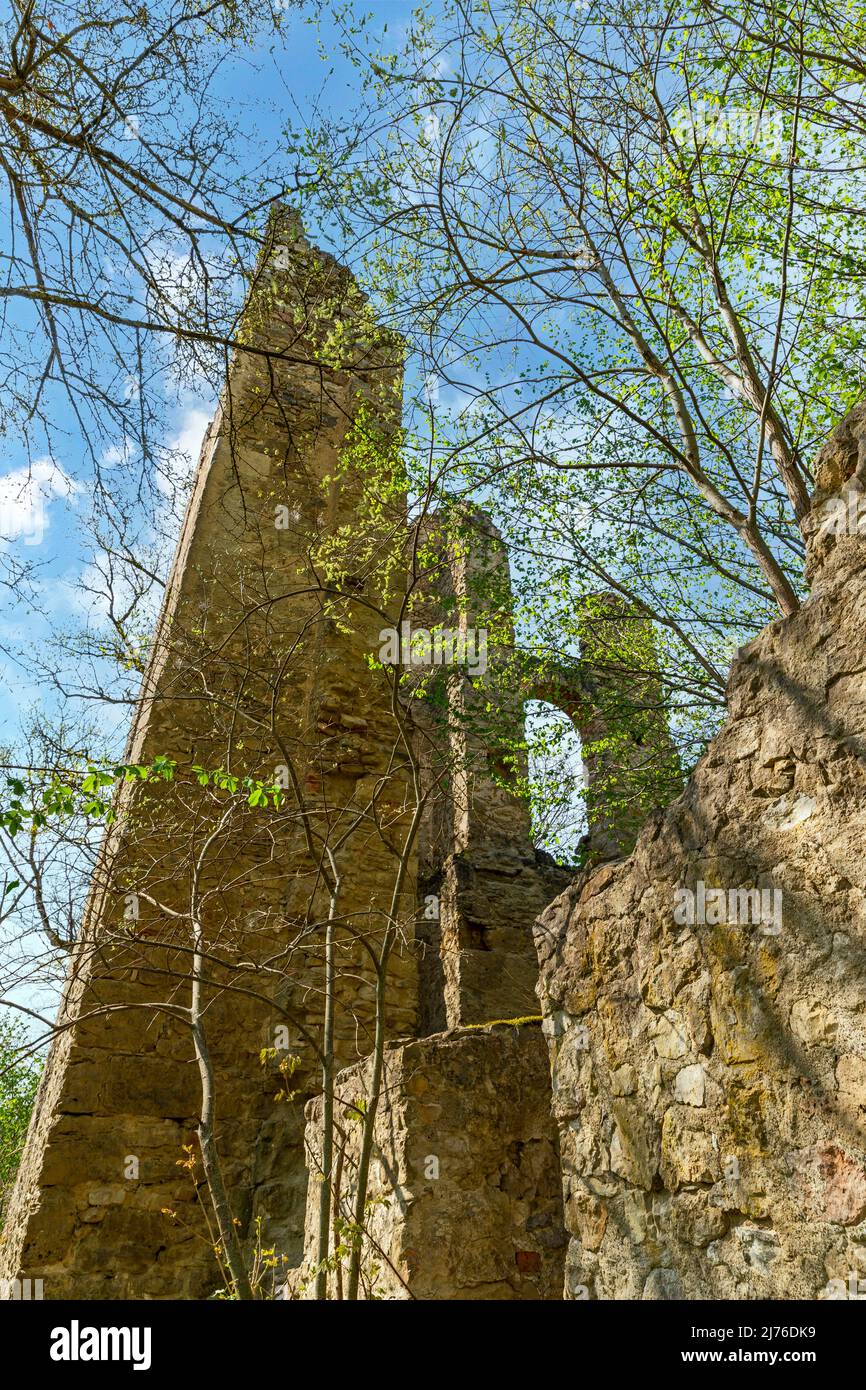 Deutschland, Rottweil, die Neckarburg ist die Ruine einer frühmittelalterlichen Hügelburg mit einer ereignisreichen Geschichte. Sie liegt im Neckartal auf einem länglichen umlaufenden Berg im Stadtgebiet Rottweil. Die Ruine ist die älteste Burganlage des Bezirks und gehört den Grafen Bissingen und Nippenburg. Stockfoto