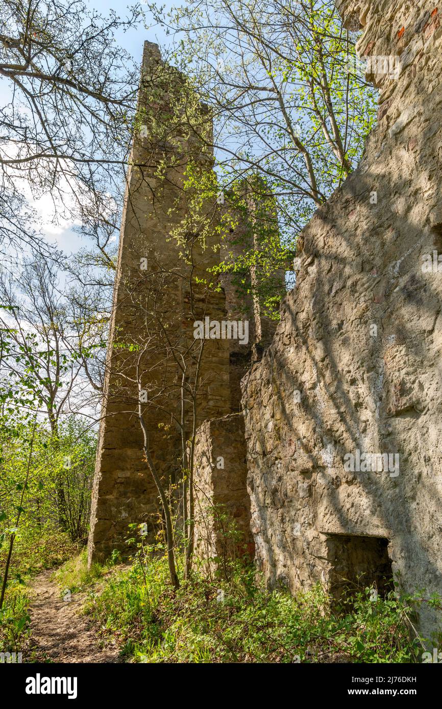 Deutschland, Rottweil, die Neckarburg ist die Ruine einer frühmittelalterlichen Hügelburg mit einer ereignisreichen Geschichte. Sie liegt im Neckartal auf einem länglichen umlaufenden Berg im Stadtgebiet Rottweil. Die Ruine ist die älteste Burganlage des Bezirks und gehört den Grafen Bissingen und Nippenburg. Stockfoto