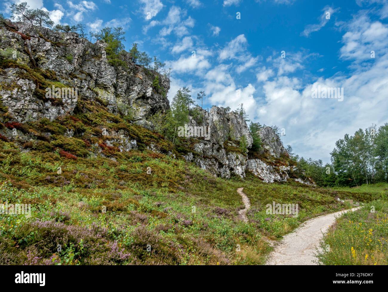 Deutschland, Viechtach, der Pfahl ist ein 150 km langer Quarzgang, der durch den nordöstlichen Bayerischen Wald verläuft. Stockfoto