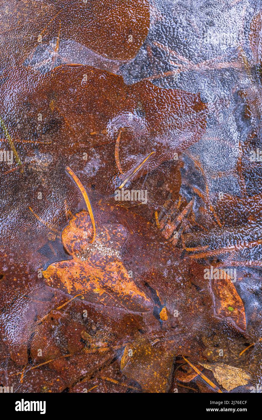 Eisfläche mit grafischen Zeichen auf Eis, Hintergrundbild Stockfoto