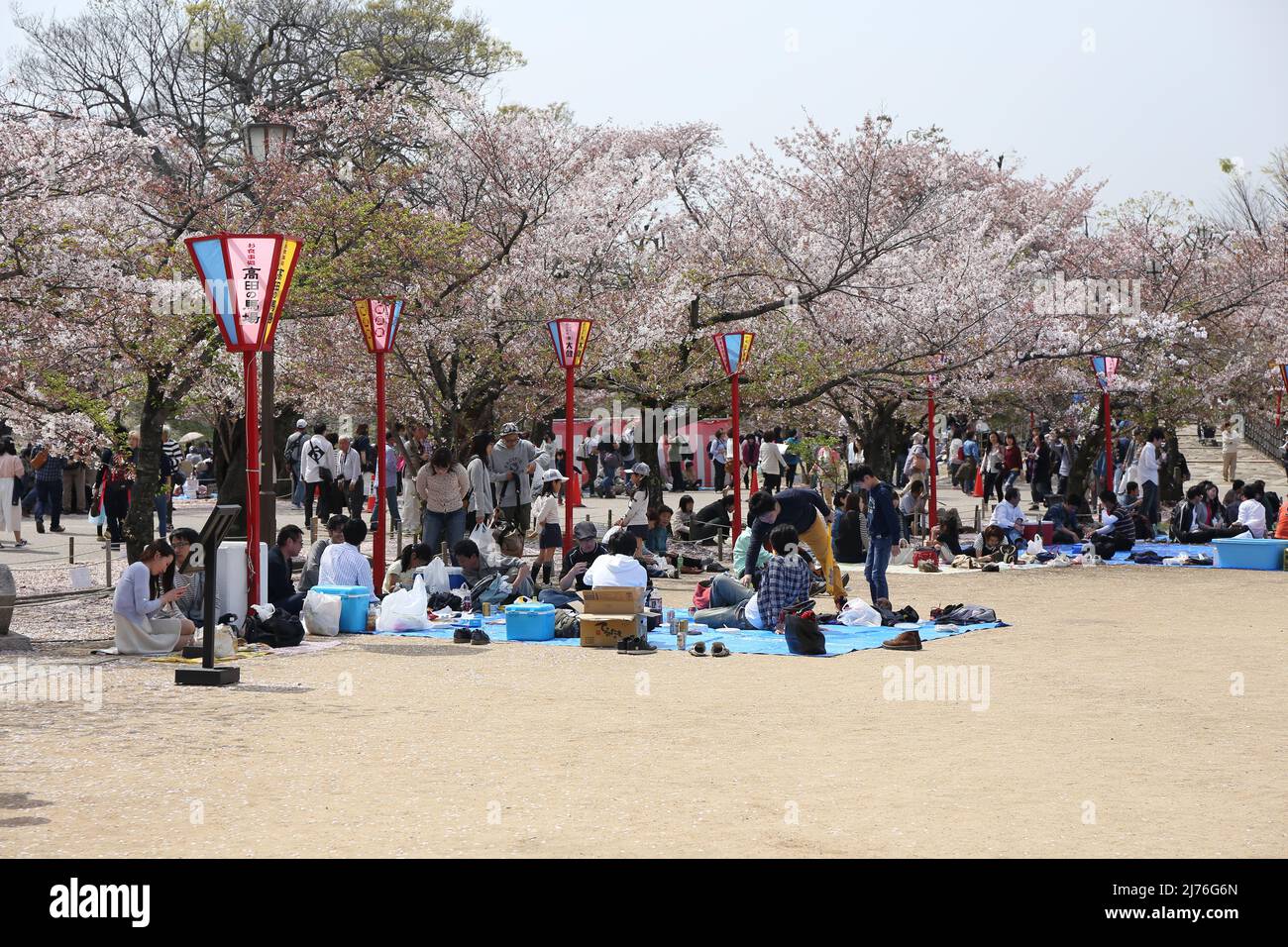 Sakura / Kirschblüten Fotografien, aufgenommen an verschiedenen Orten in Japan während der Frühjahrszeit des Jahres 2016. Die Serie enthält 16 Bilder Stockfoto