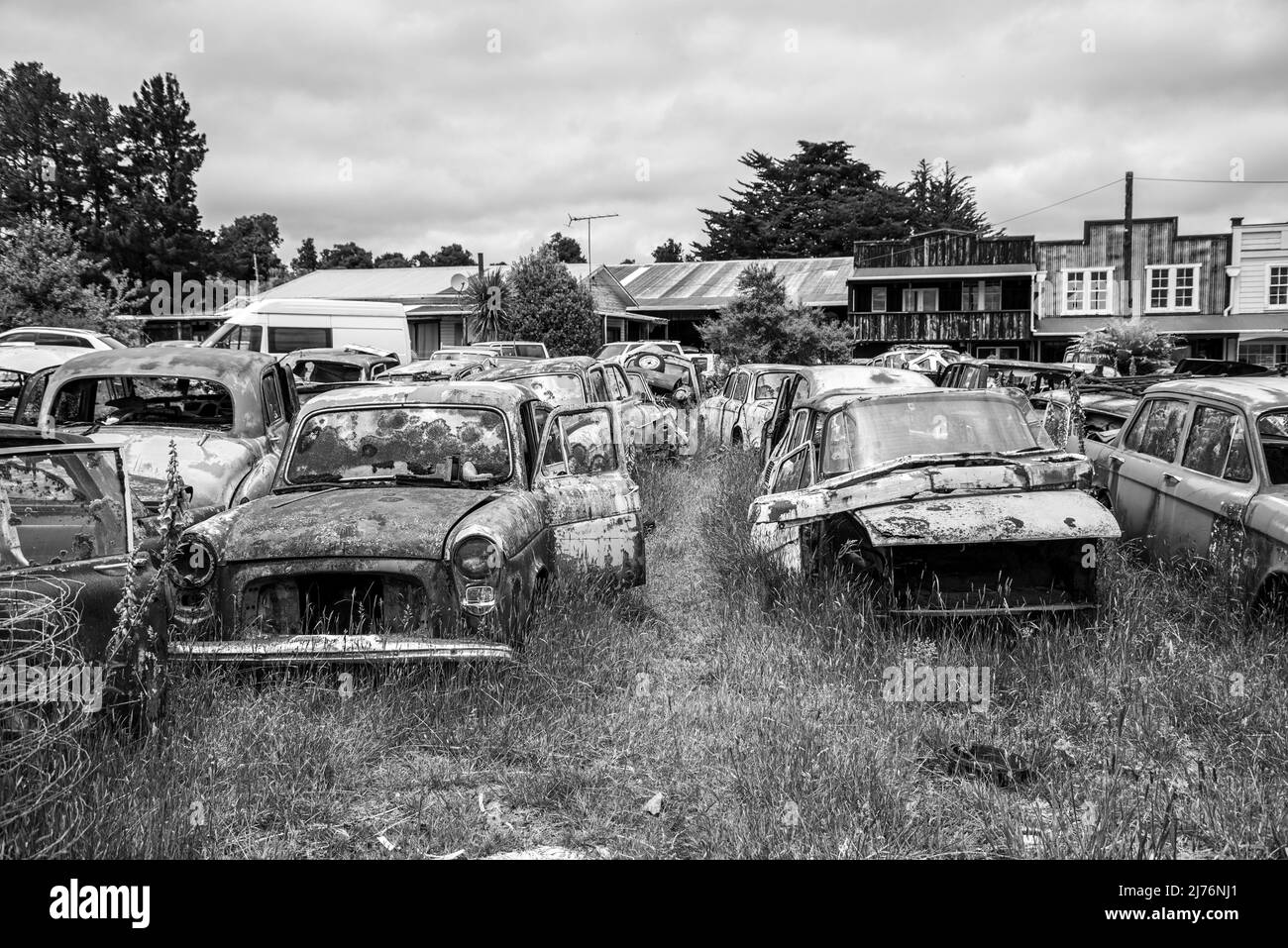 Antike Autos auf einem großen Schrottplatz am Ende des Old Coach Road Trail, Nordinsel Neuseelands Stockfoto