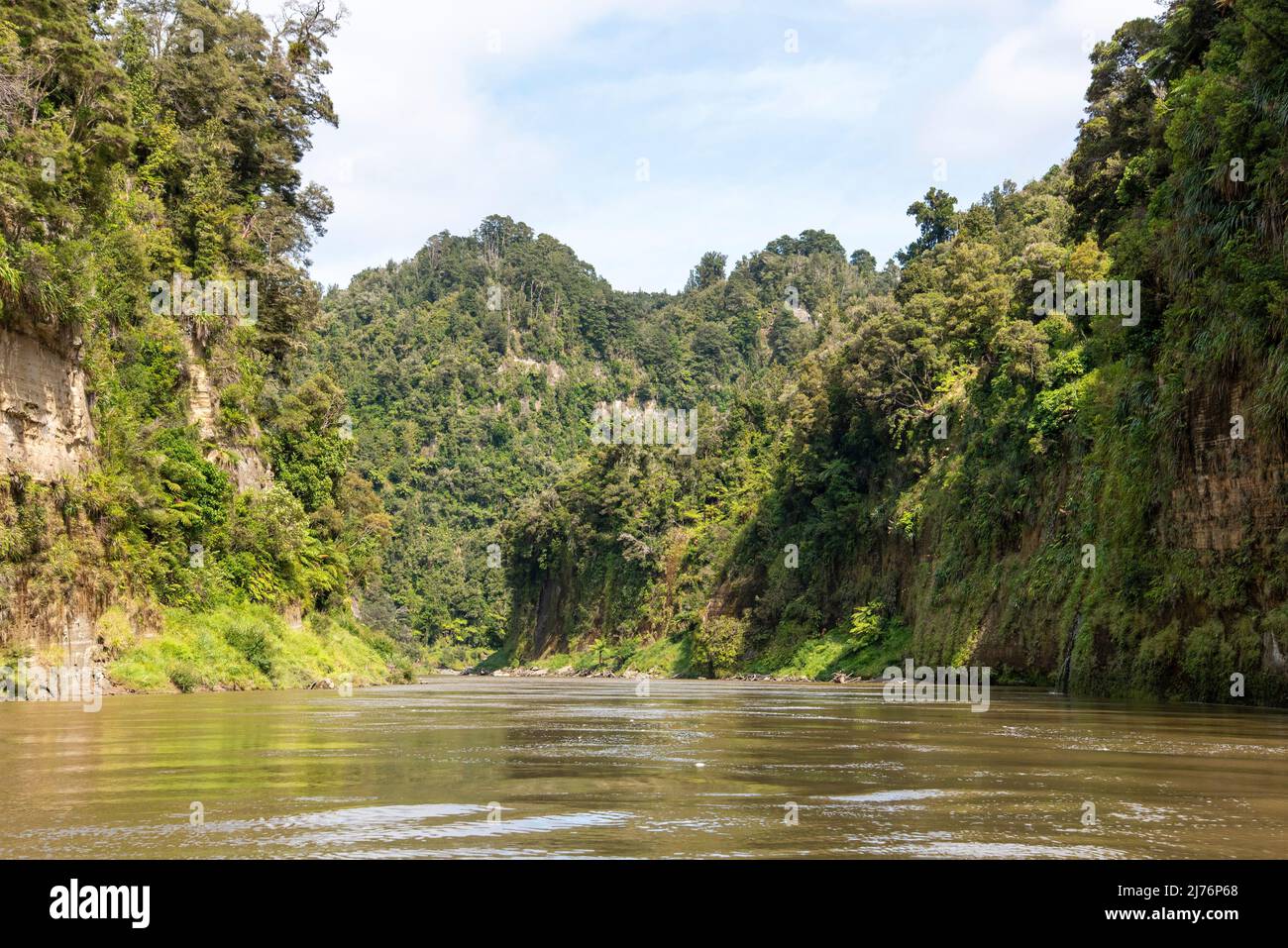 Tour auf dem unberührten Whanganui Fluss und durch den umliegenden Dschungel, Nordinsel von Neuseeland Stockfoto