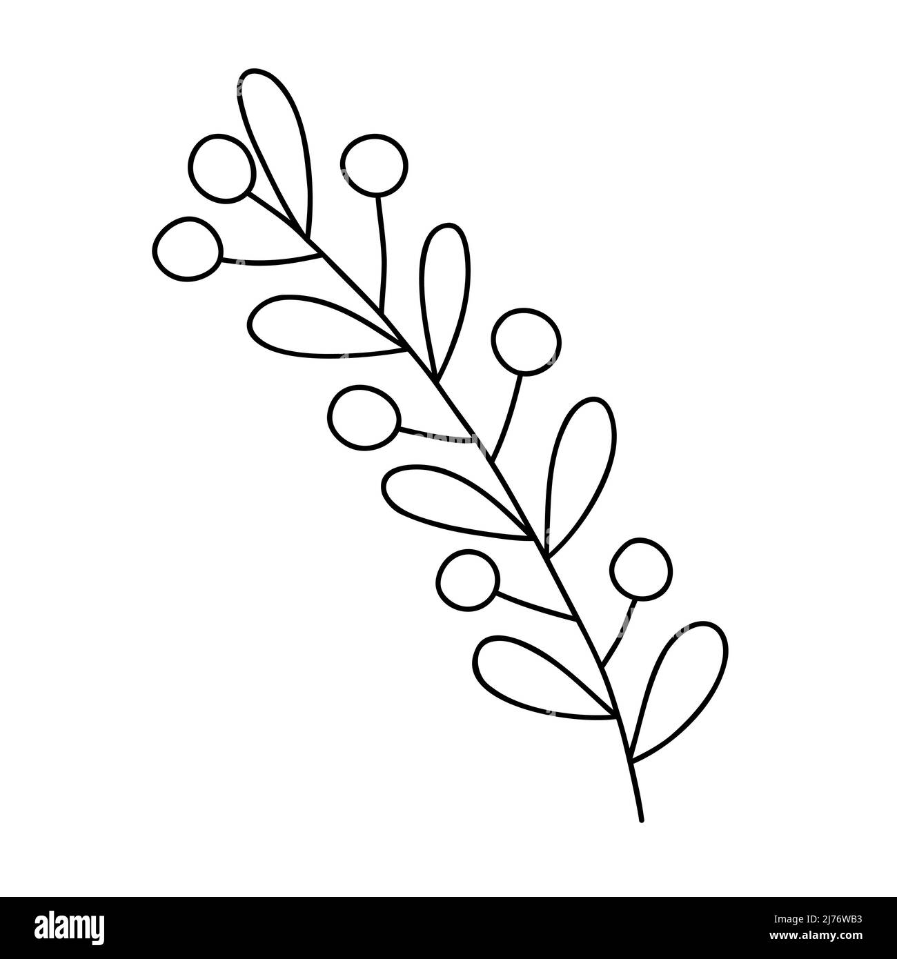 Umriss Pflanze dekorativen Zweig mit Blättern und Beeren für Wohnkultur, festliche Feiertagsarrangement, Vektor-Illustration für saisonale Grußkarte, i Stock Vektor