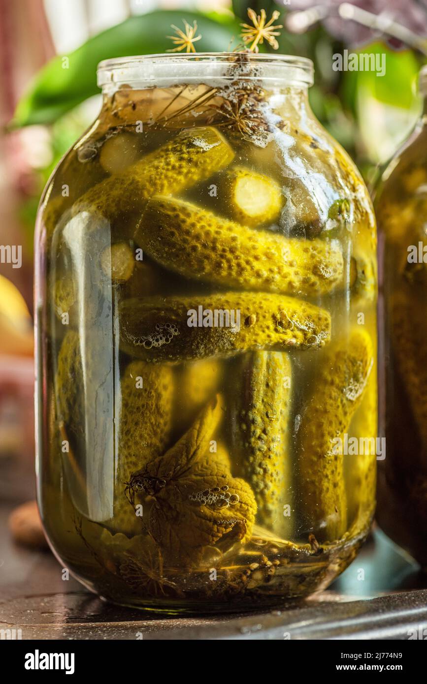 Eingelegte Gurken in einem Glas, hausgemachte Konserven aus der Nähe. Stockfoto