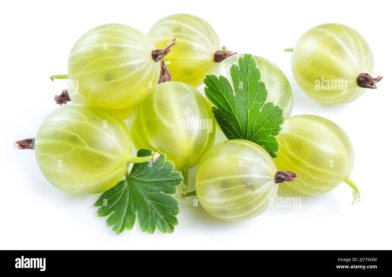 Grüne reife Stachelbeeren auf weißem Hintergrund. Nahaufnahme. Stockfoto