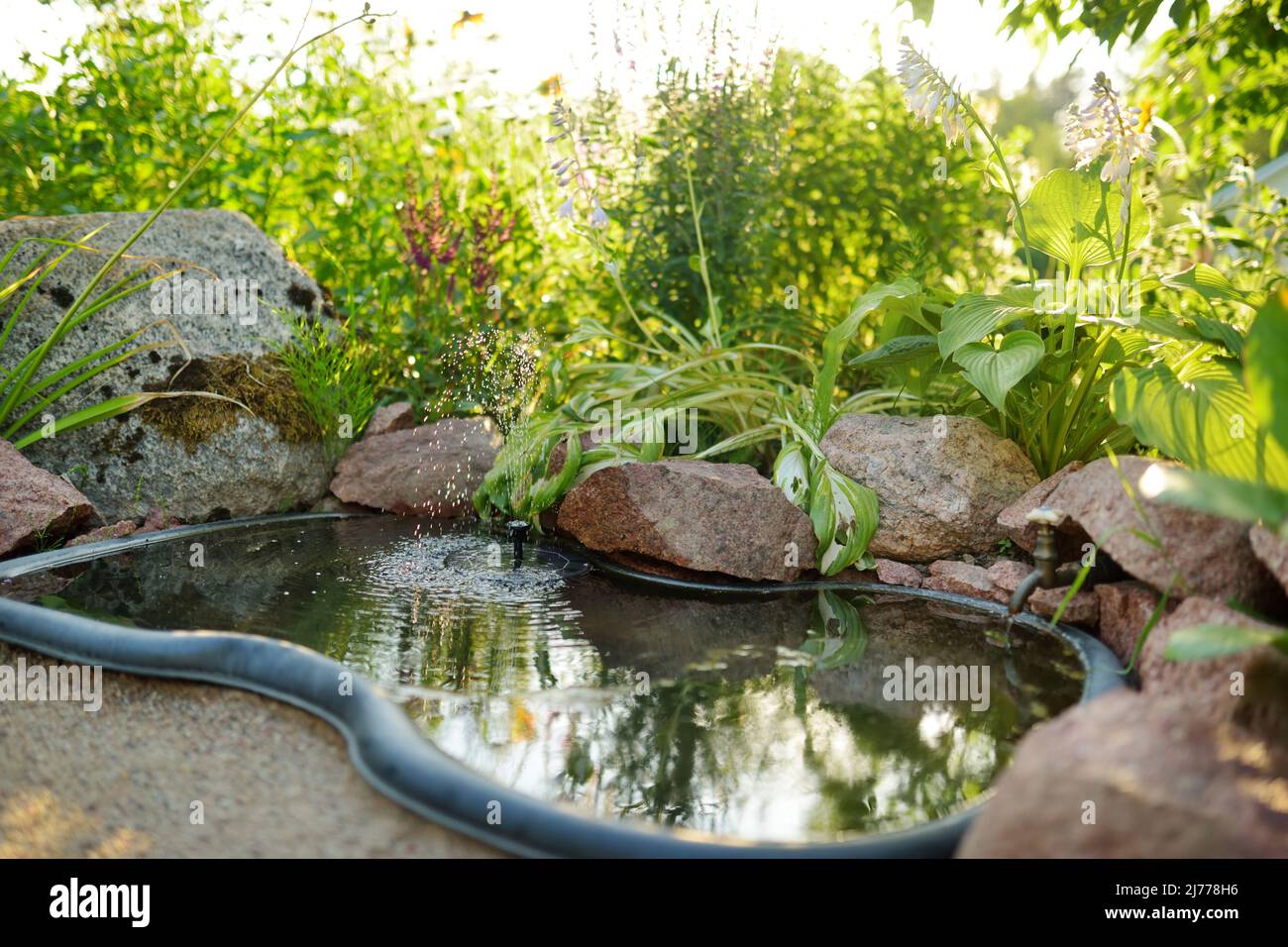 Kleiner knstlicher Teich am sonnigen Sommertag im Garten. Wunderschn  gestalteter Gartenteich, umgeben von verschiedenen Pflanzen und Blumen  Stockfotografie - Alamy