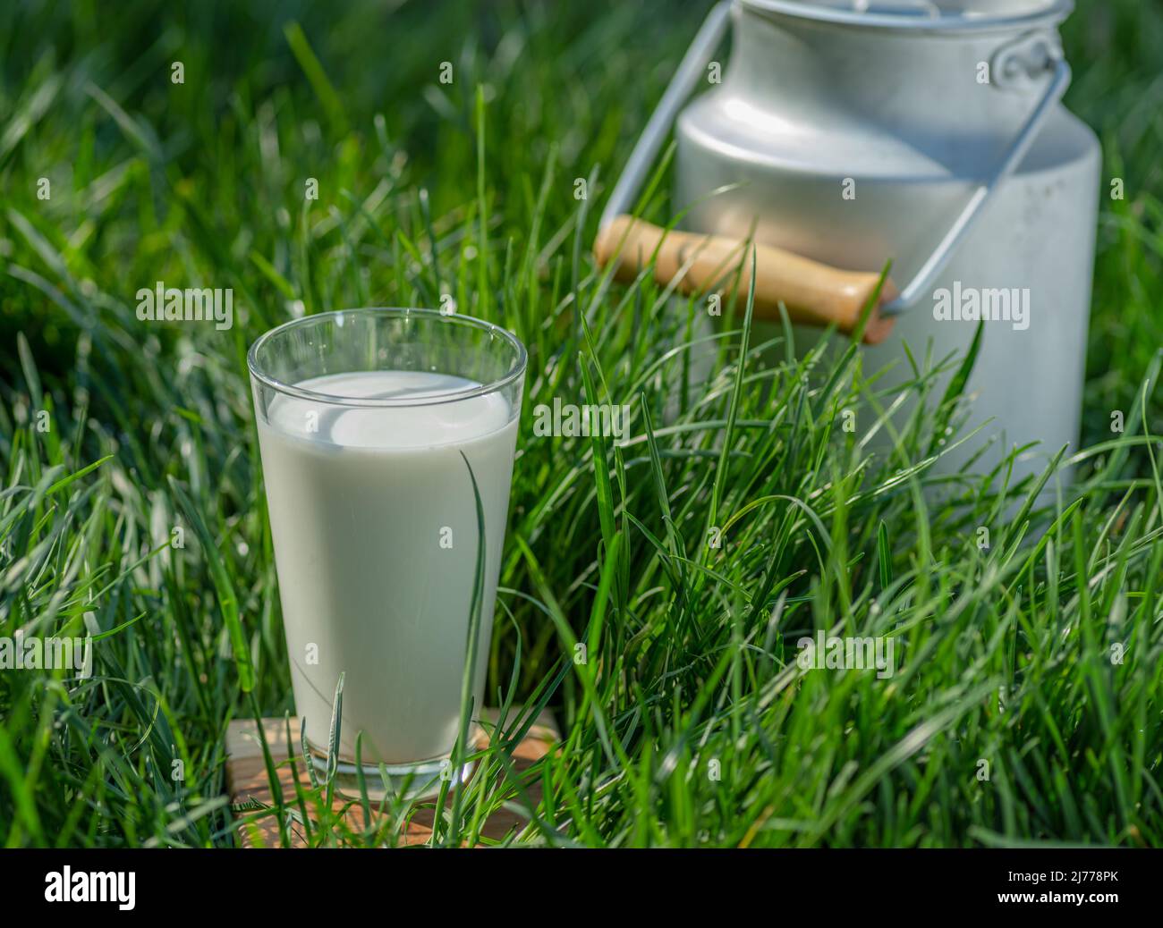 Glas frische Milch und Milchkannen im grünen Gras an sonnigen Sommertagen. Stockfoto