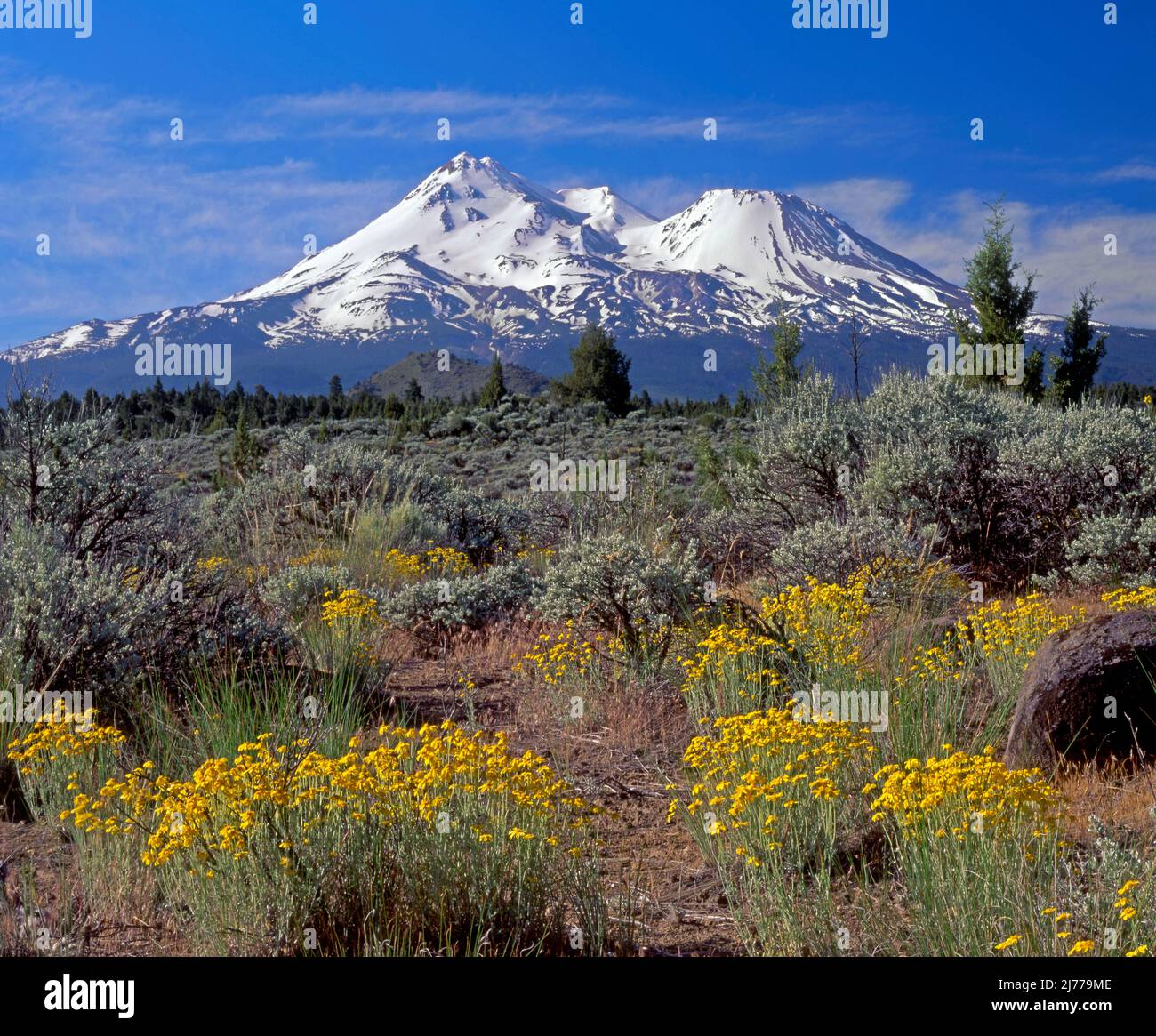 Mt. Shasta und Shastina, Cascade Range, Kalifornien Stockfoto