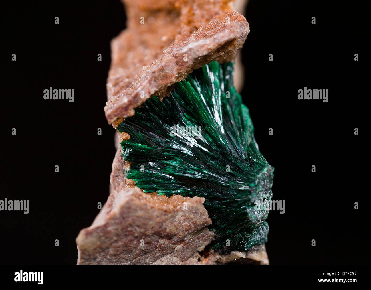 Mineral Probe Stein Gesteinsgeologie Edelstein Kristall Stockfoto
