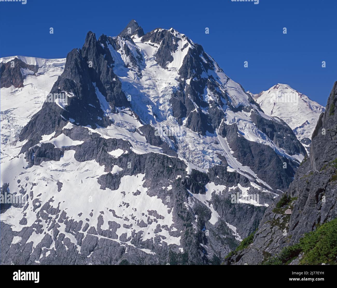 Mt Shuksan und Price Glacier, North Cascade National Park, North Cascade Mountains, Washington Stockfoto