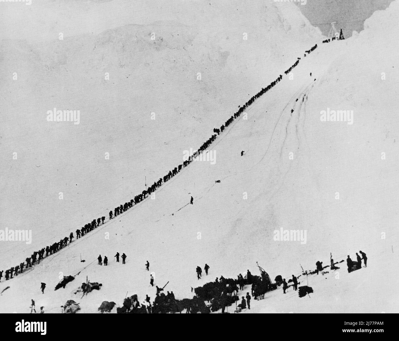 Bergleute und Prospektoren erklimmen den Chilkoot Trail während des Klondike Gold Rush Stockfoto