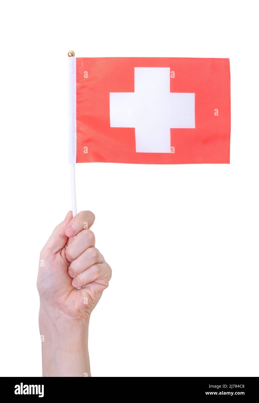 Eine Hand hält die Schweizer Flagge auf einem weißen, isolierten Hintergrund. Konzept des Landes. Stockfoto