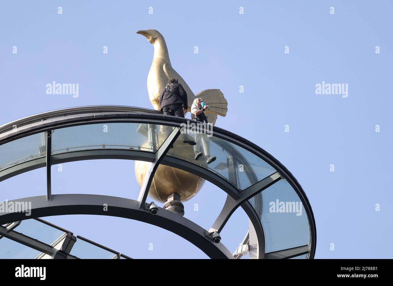 Ein TV-Moderator sendet von der Spitze des Sky Walk des Tottenham Hotspur Stadions in London aus. Stockfoto