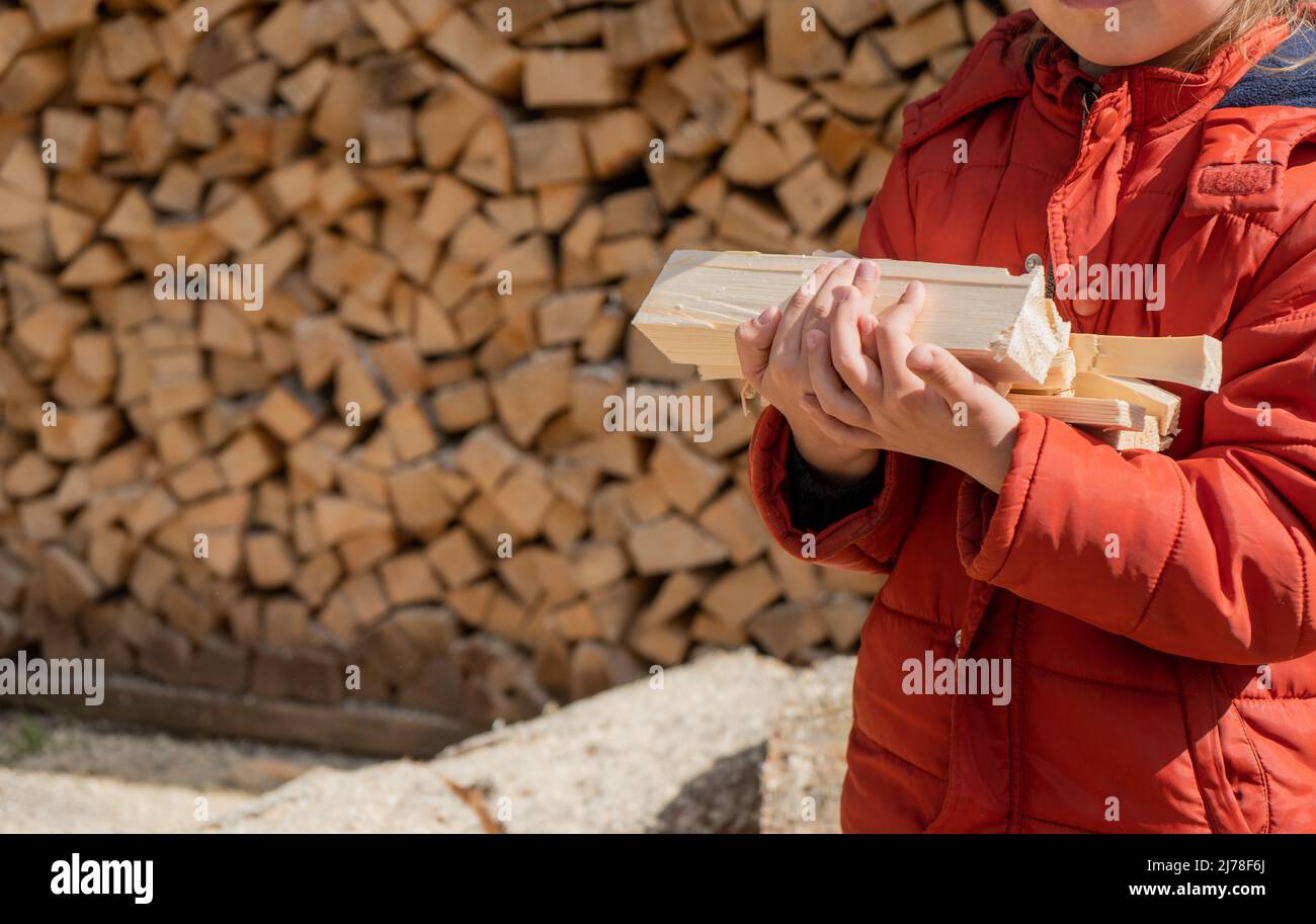 Das kleine Mädchen hält Feuerholz mit der Hand. Stapel von gestapeltem Brennholz für die Heizung des Hauses vorbereitet. Sammeln von Brennholz für den Winter oder Feuer Stockfoto