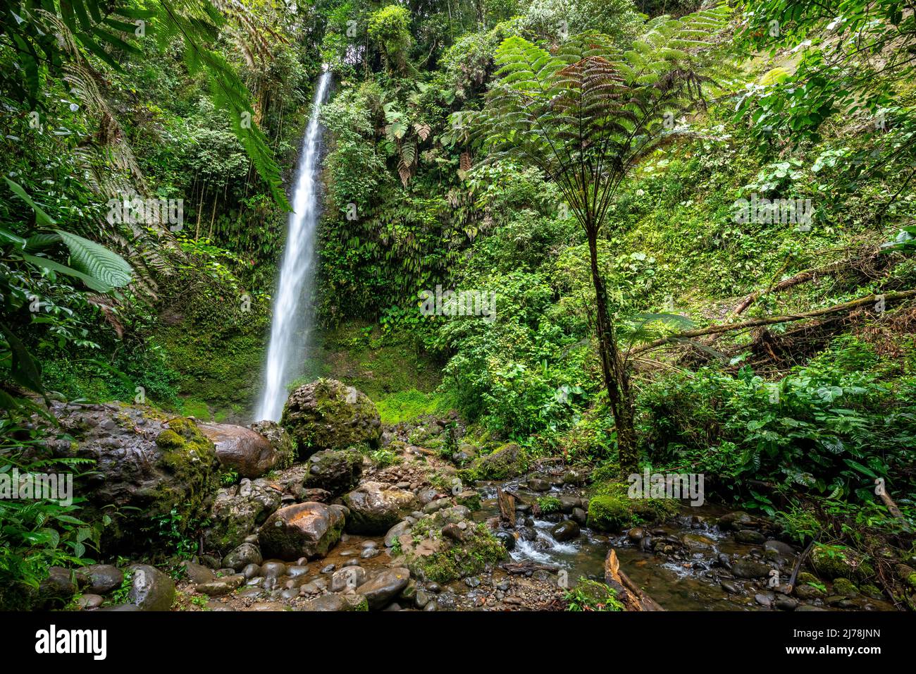 cascada-hola-vida-wasserfall-in-puyo-tropischer-gr-ner-regenwald-im