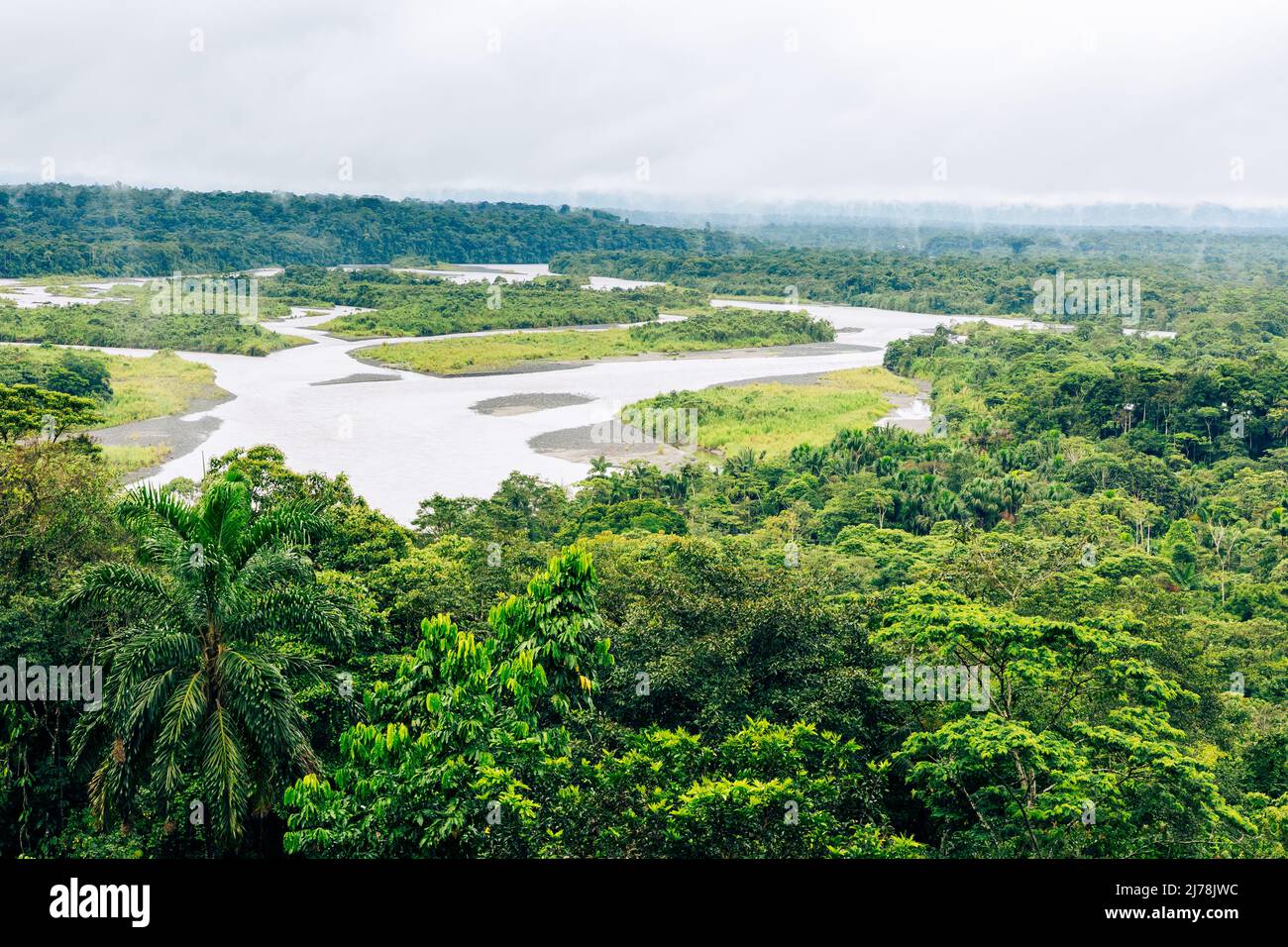 Regenwald Im Amazonas Von Ecuador. Pastaza Fluss, Blick vom Aussichtspunkt die Indischuris. Puyo, Ecuador, Südamerika. Stockfoto