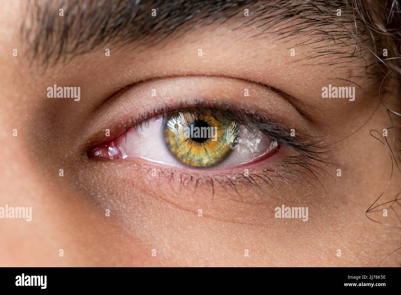 Nahaufnahme, Makrofoto eines farbigen Auges, einer Iris, einer Pupille, Wimpern, Augenlidern. Hochwertige Fotos Stockfoto