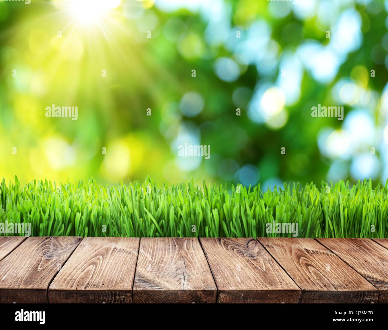 Bokeh sonnige Natur Hintergrund und Holzbrett im Vordergrund. Es ist möglich, Ihr Produkt zu platzieren. Stockfoto