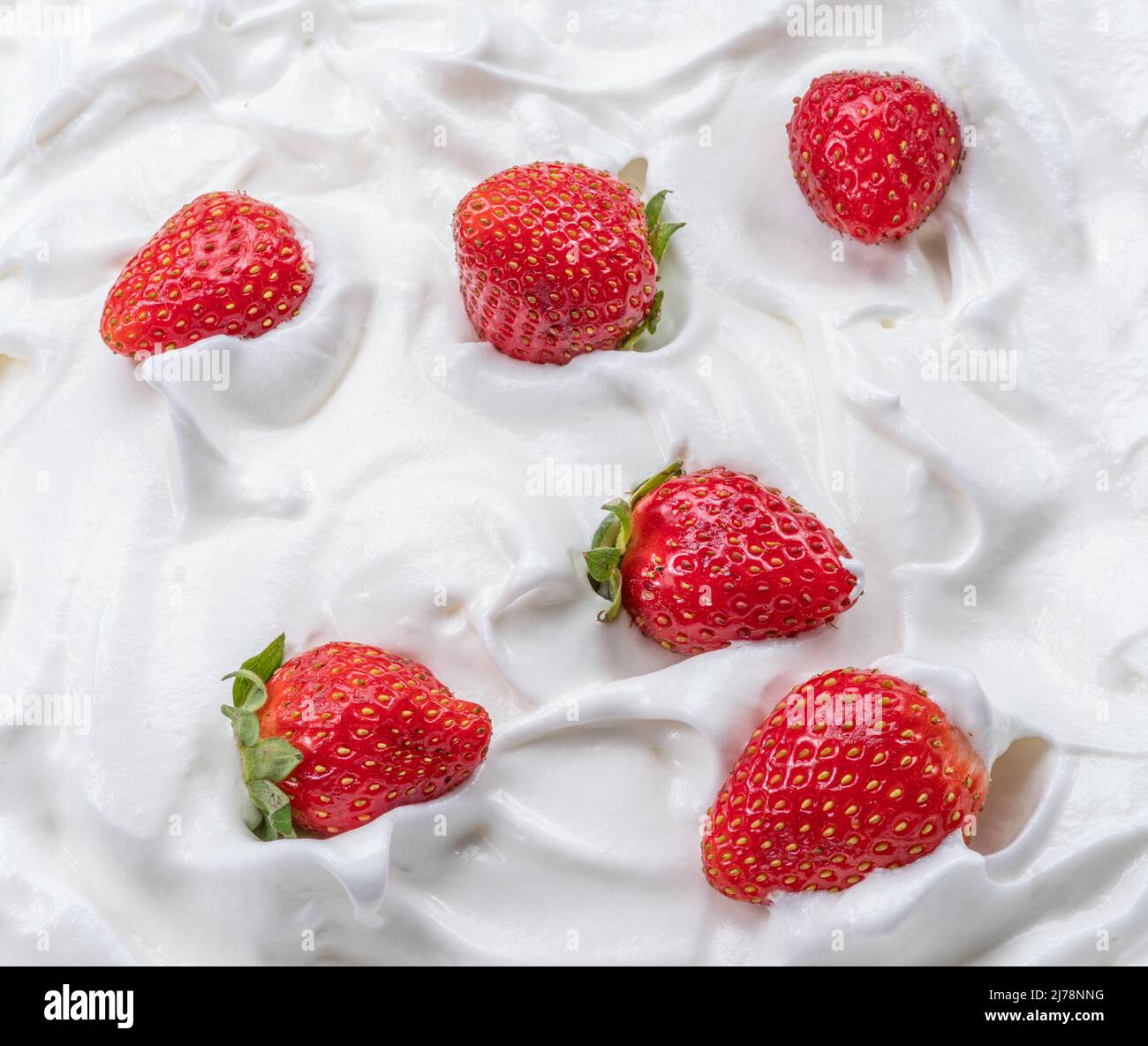 Frische Erdbeeren im Joghurt oder in der Creme. Draufsicht. Stockfoto