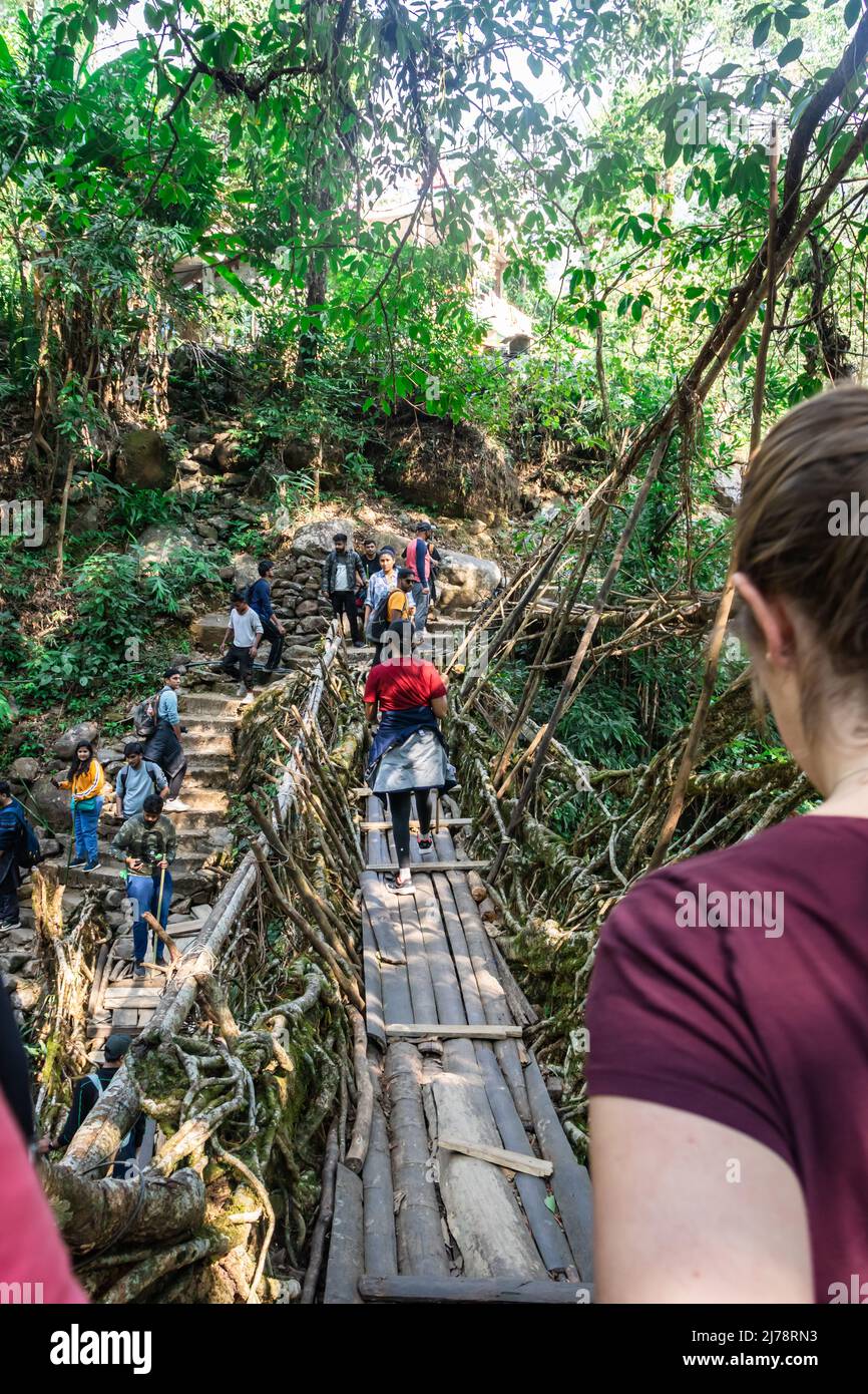 Lebende Baumwurzelbrücke überfüllt mit Touristen am Morgen aus einzigartigem Winkel Bild wird an der Doppeldeckerbrücke cherrapunji meghalaya india am 03. April aufgenommen Stockfoto