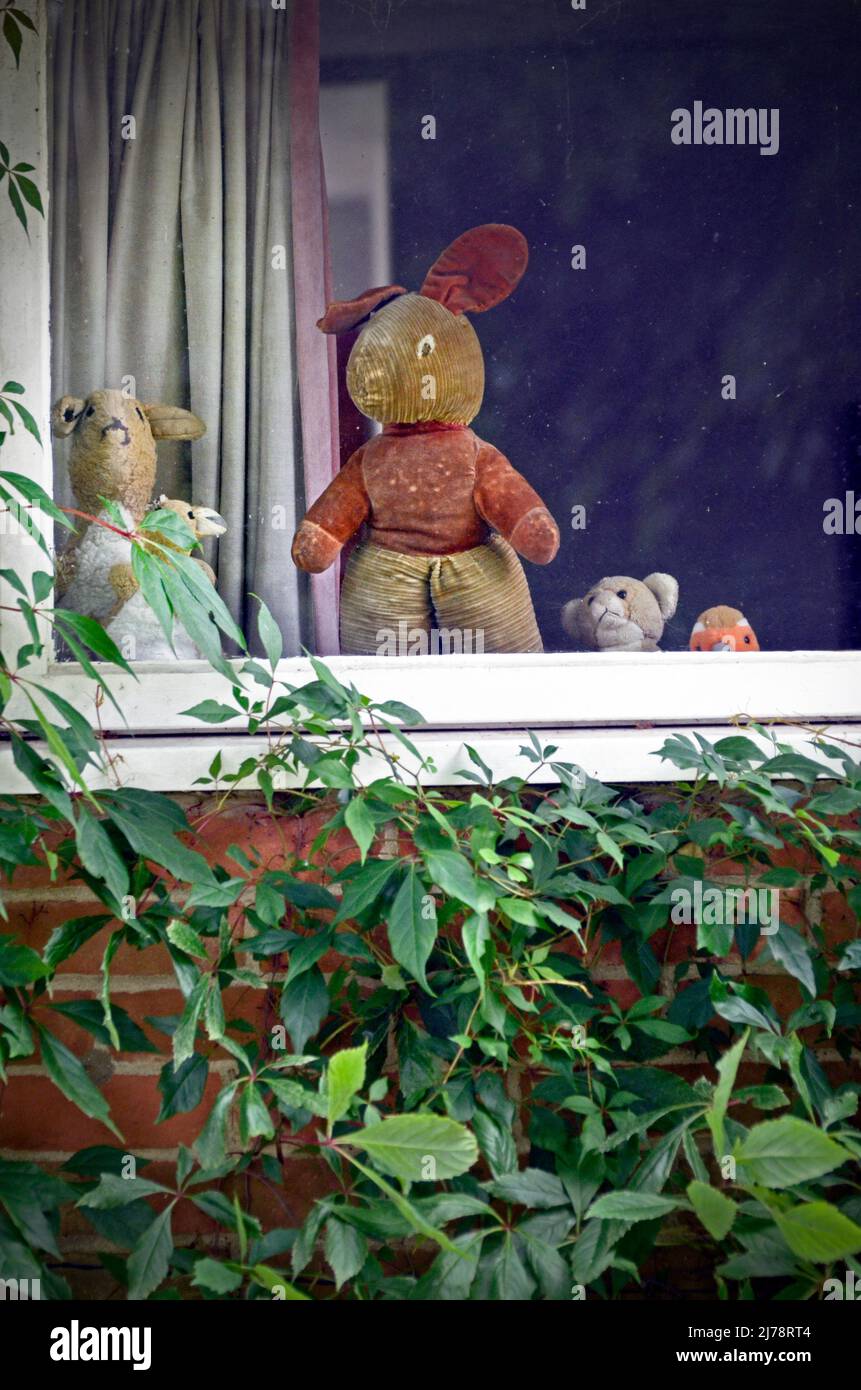 Flauschige Kinder Spielzeug stehen in schmutzigen Hütte Fenster dunwich suffolk england Stockfoto