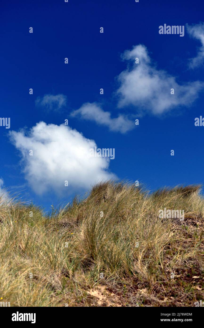 Strahlend blauer Himmel über den Dünen von winterton norfolk england Stockfoto