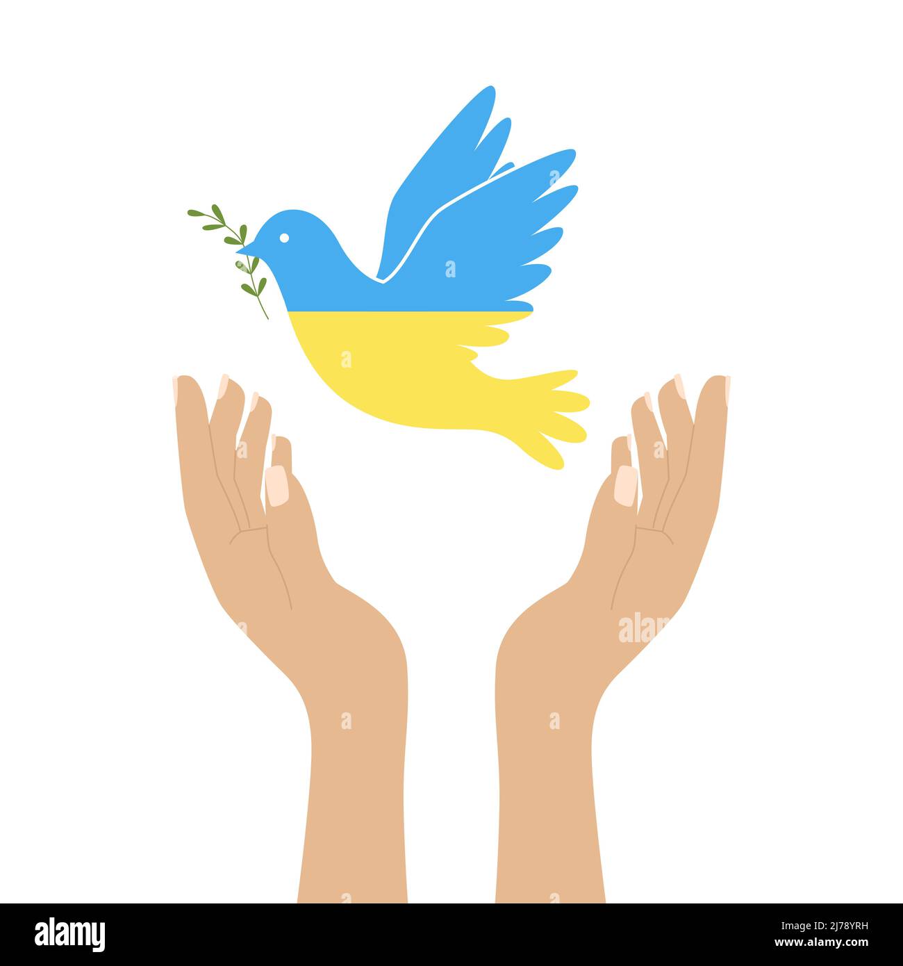 Erhobene menschliche Hände, die eine Taube freiließen, ein Symbol des Friedens. Ein fliegender Vogel des Friedens in den Farben der blauen und gelben ukrainischen Flagge. Farbabbildung Stock Vektor