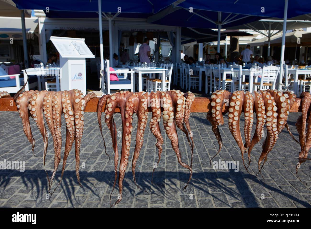 Octopus trocknet unter der Sonne in Naousa Dorf, Paros, Kykladen, Griechenland Stockfoto