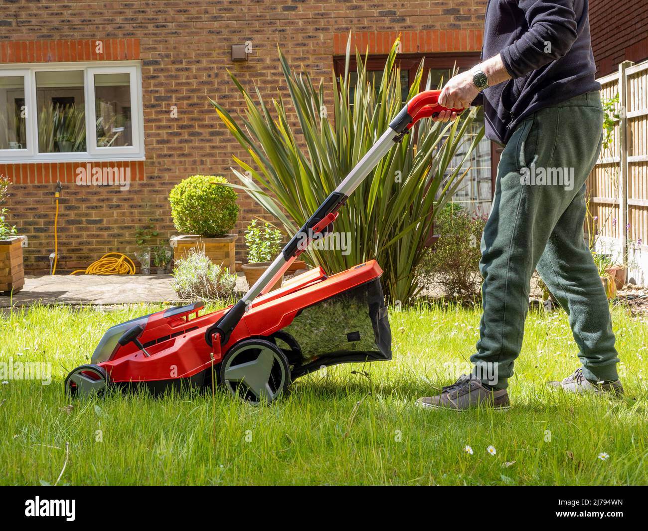 Gärtner, der einen Hausrasen mit einem kabellosen elektrischen Rasenmäher mit Lithium-Ionen-Akku schneidet Stockfoto