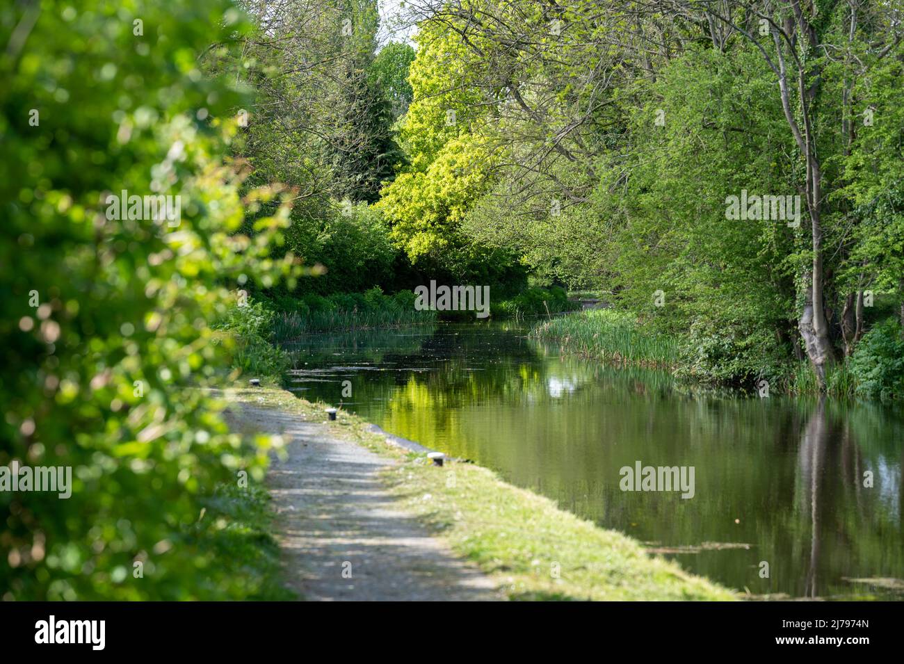 Blick auf den Treidelpfad des Montgomery-Kanals in der Frühlingssonne Stockfoto