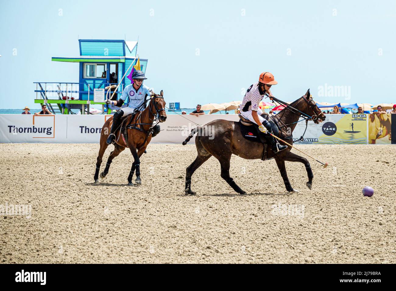 Miami Beach Florida Beach Polo World Cup Miami jährliche Veranstaltung Spiel Chukker Ponys Pferde Spieler Schläger Mallet Ball Stockfoto