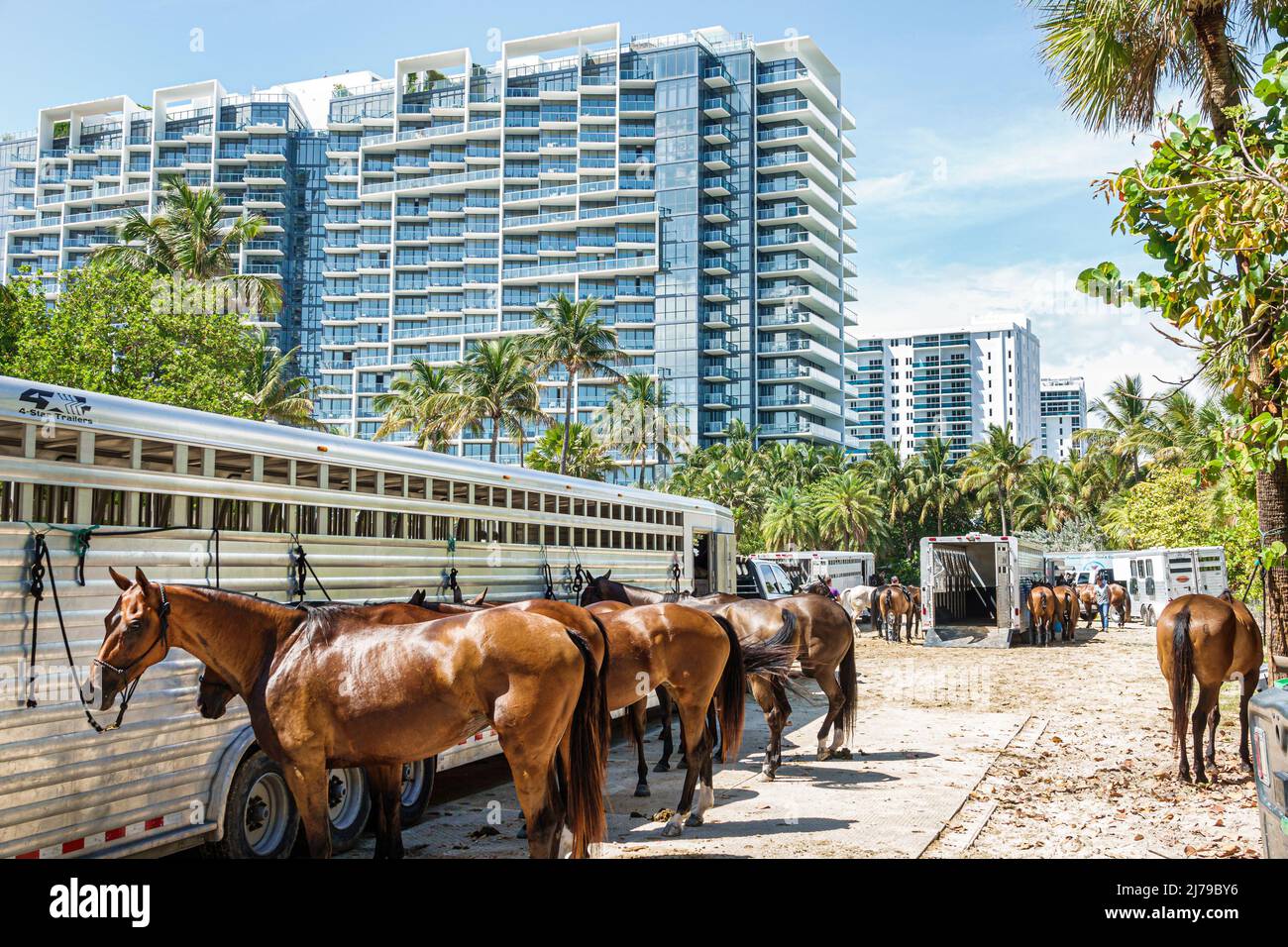 Miami Beach Florida Beach Polo World Cup Miami jährliche Veranstaltung Ponys Pferde Anhänger W South Beach Hotel Collins Park Stockfoto